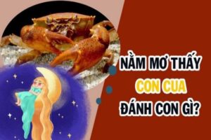 mo thay cua danh con gi de trung