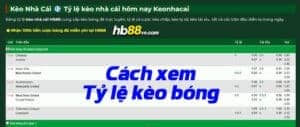 Tỷ lệ kèo bóng đá là gì? Cách xem kèo bóng chuẩn